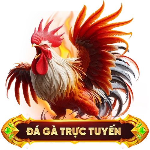 đá gà trực tuyến 58WIN